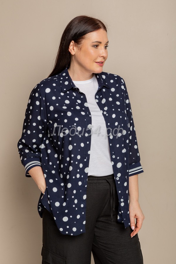 Блуза [Арт. 1708-40-1420-04]